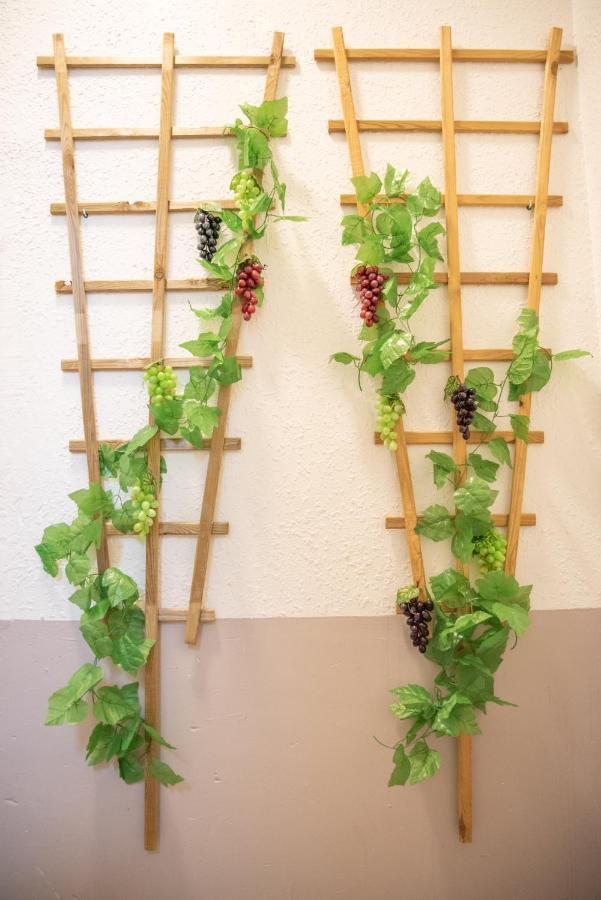 Douce Parenthese A Apartment Carcassonne
