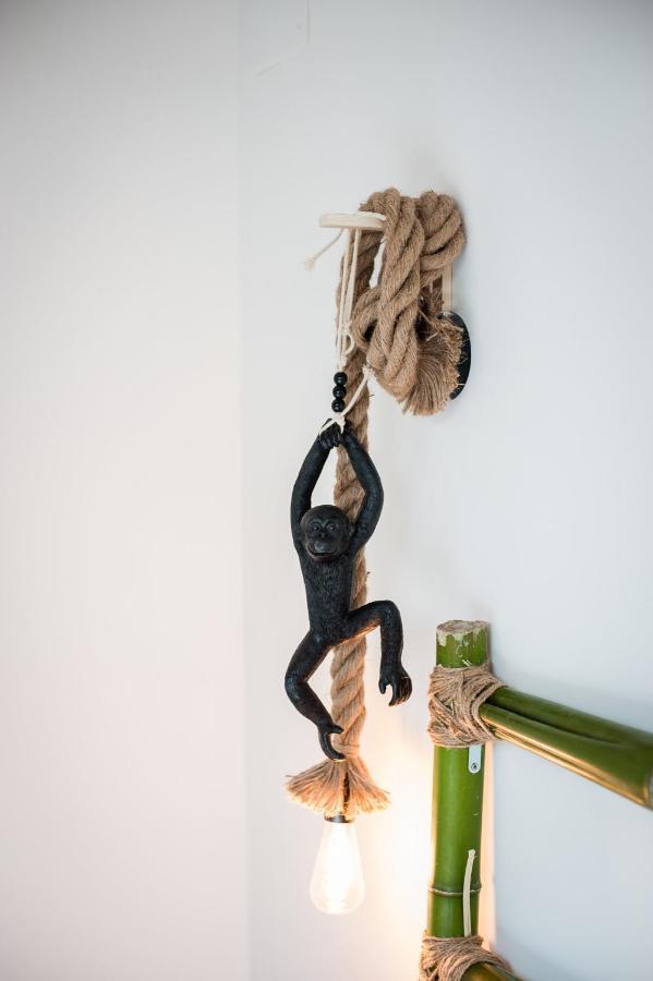 Apartment Douce Parenthese A Carcassonne